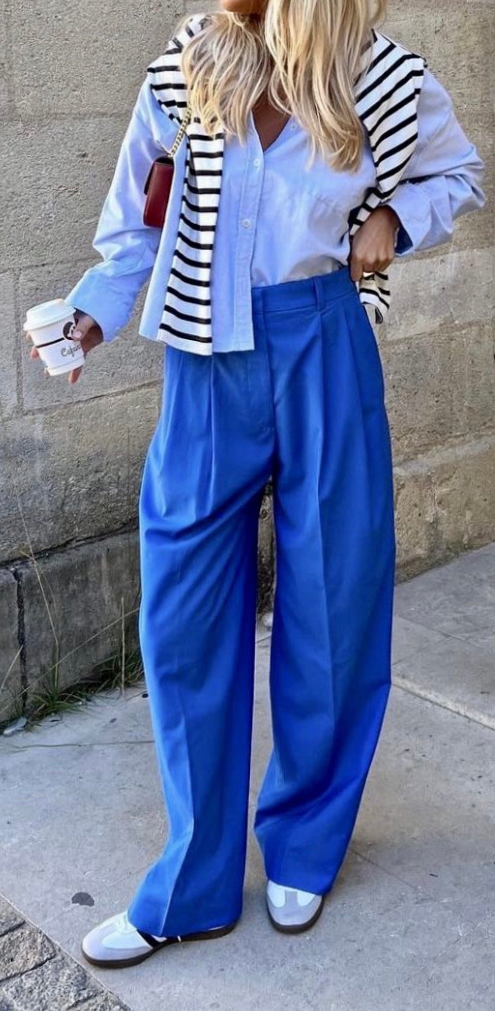 ANAYI Wool Wide Leg Pants RRP$420 (Size 8)