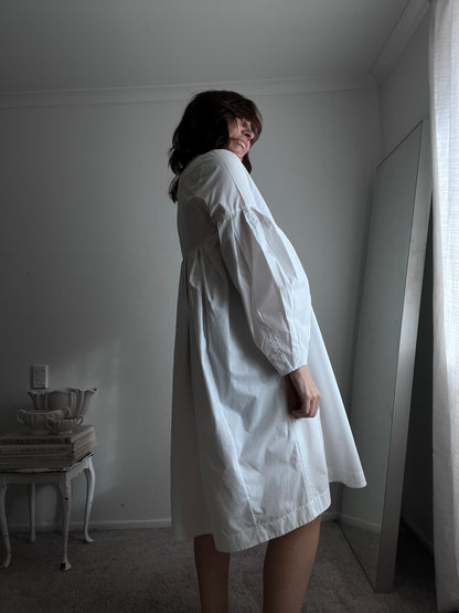 COS Dress RRP$170 (10-12)