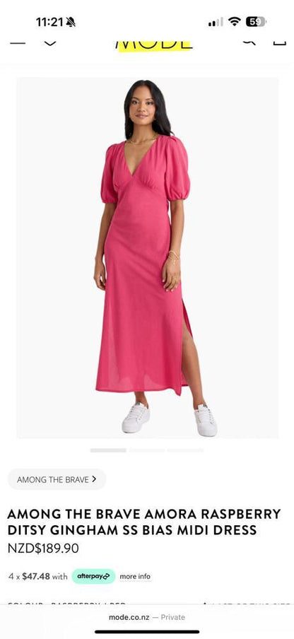 AMONG THE BRAVE Amora Gingham Dress RRP $190 (10)